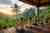 Bali Indonesia Meditation Retreats: Complete Guide